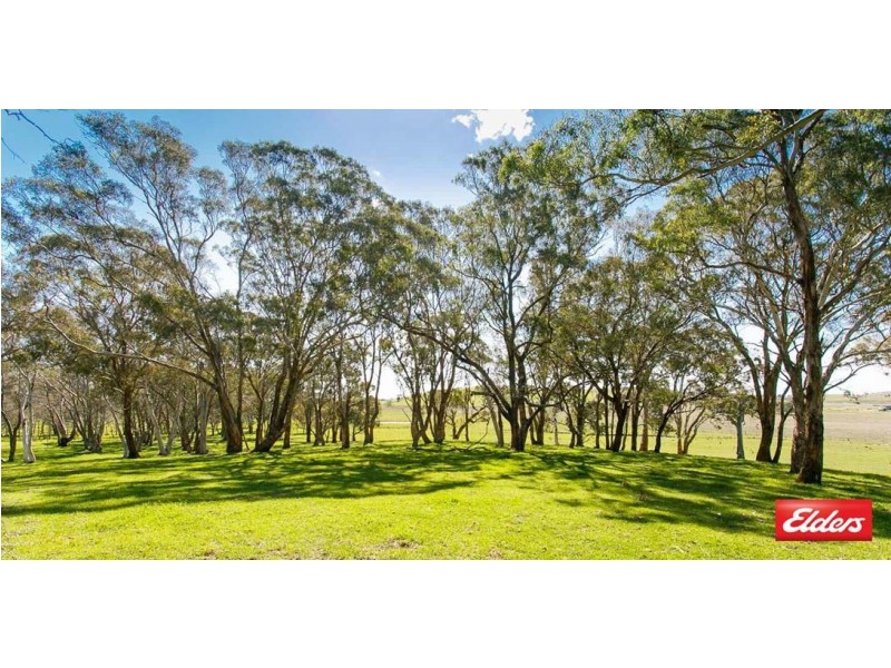 860 Spring Range Road, Springrange NSW 2618