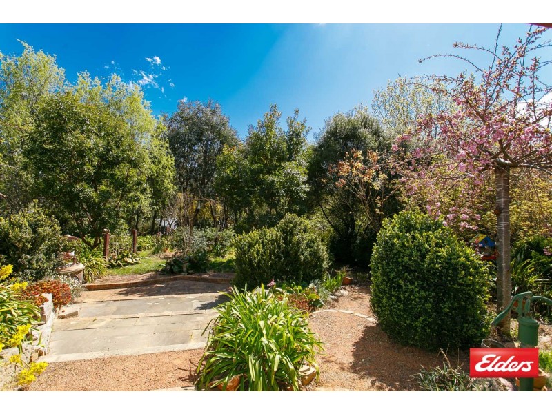860 Spring Range Road, Springrange NSW 2618