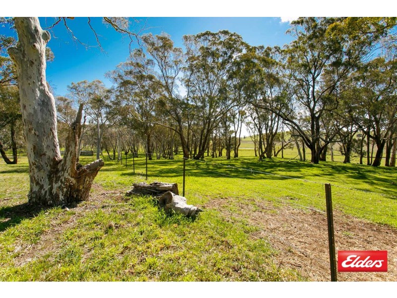 860 Spring Range Road, Springrange NSW 2618