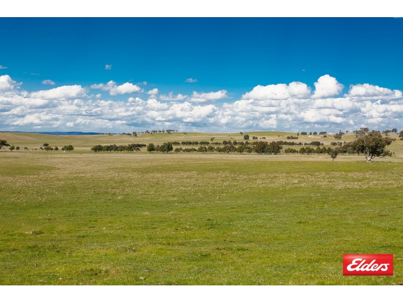 860 Spring Range Road, Springrange NSW 2618