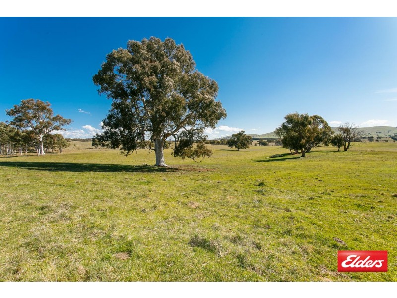860 Spring Range Road, Springrange NSW 2618