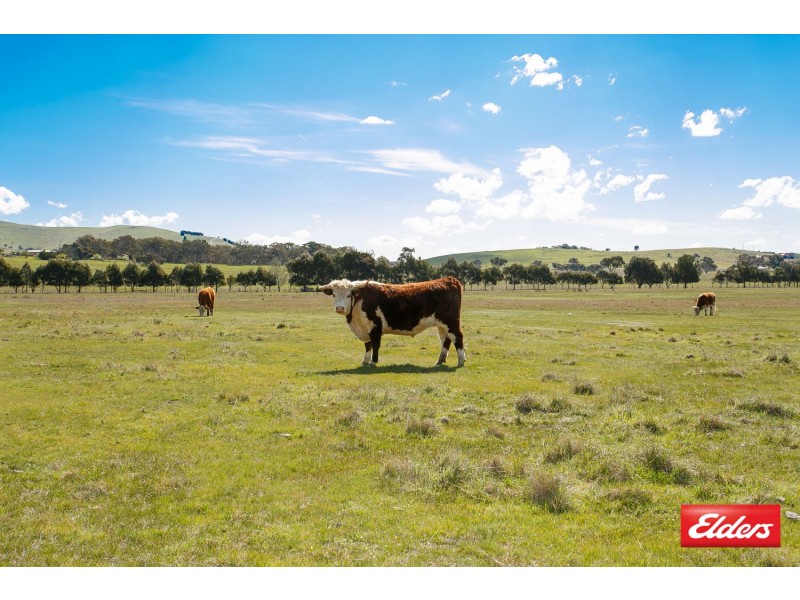 860 Spring Range Road, Springrange NSW 2618