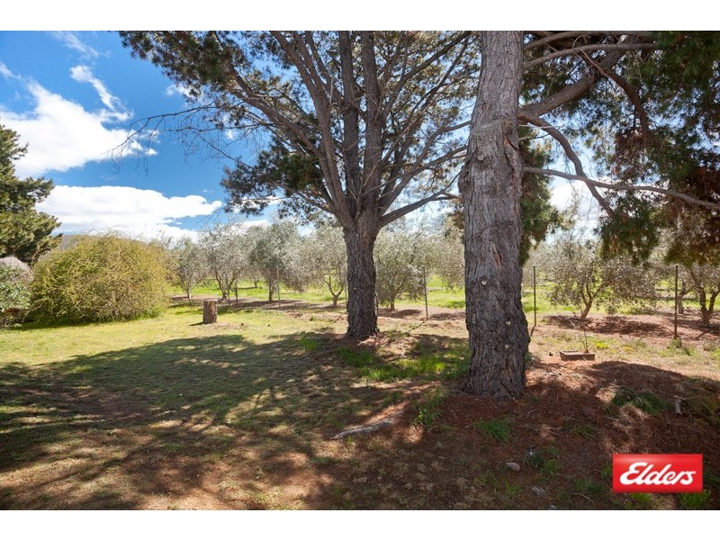 68 Banksia Drive, Symonston ACT 2609