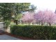 18/50 Ellenborough Street,, Lyneham ACT 2602