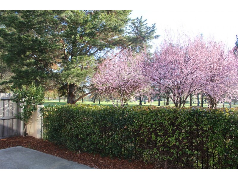 18/50 Ellenborough Street,, Lyneham ACT 2602