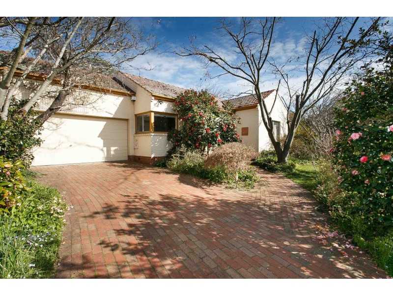 19 Ridley Street, Turner ACT 2612