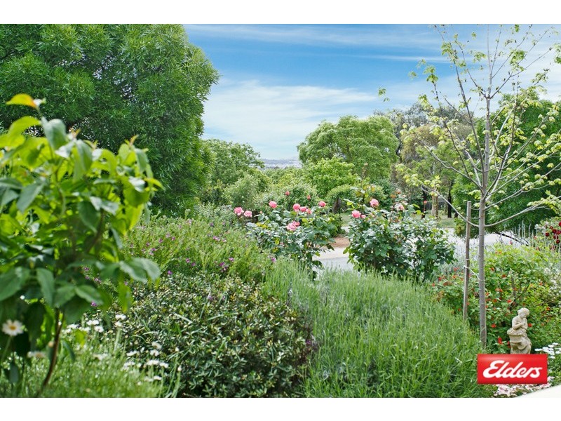 20 Weddin Circuit, Palmerston ACT 2913