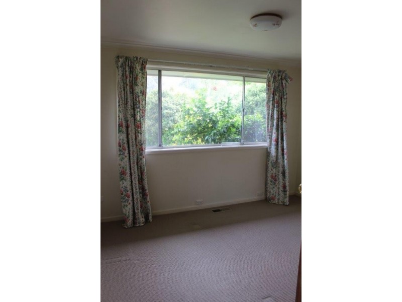6 Erskine Street, Macquarie ACT 2614