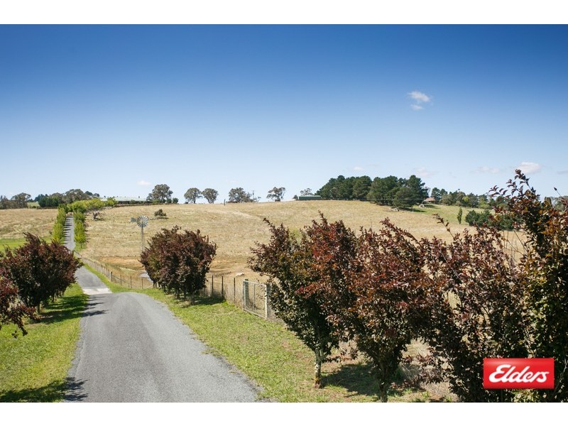 206 Gooromon Ponds Road, Wallaroo NSW 2618