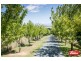 206 Gooromon Ponds Road, Wallaroo NSW 2618