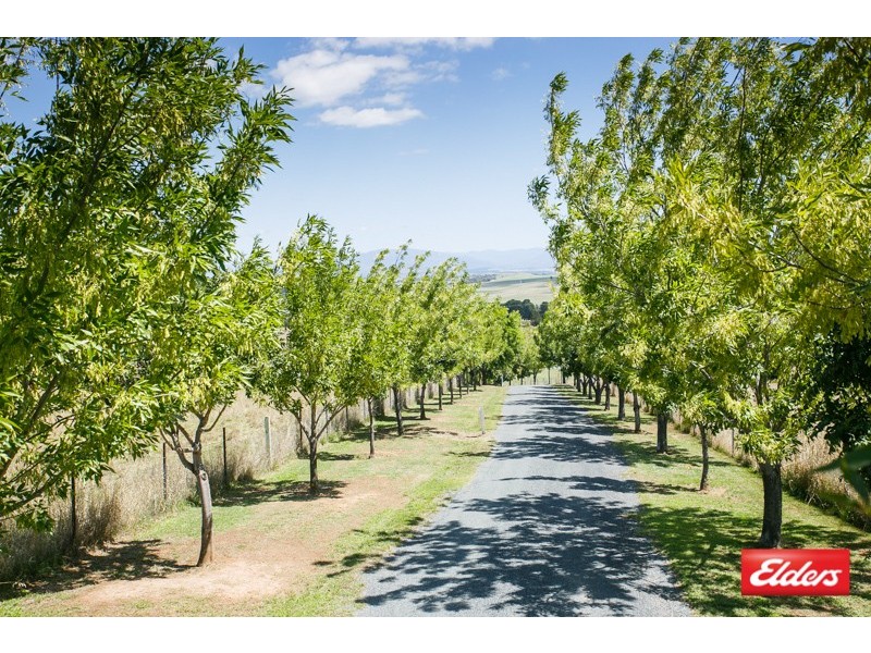 206 Gooromon Ponds Road, Wallaroo NSW 2618