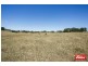 206 Gooromon Ponds Road, Wallaroo NSW 2618