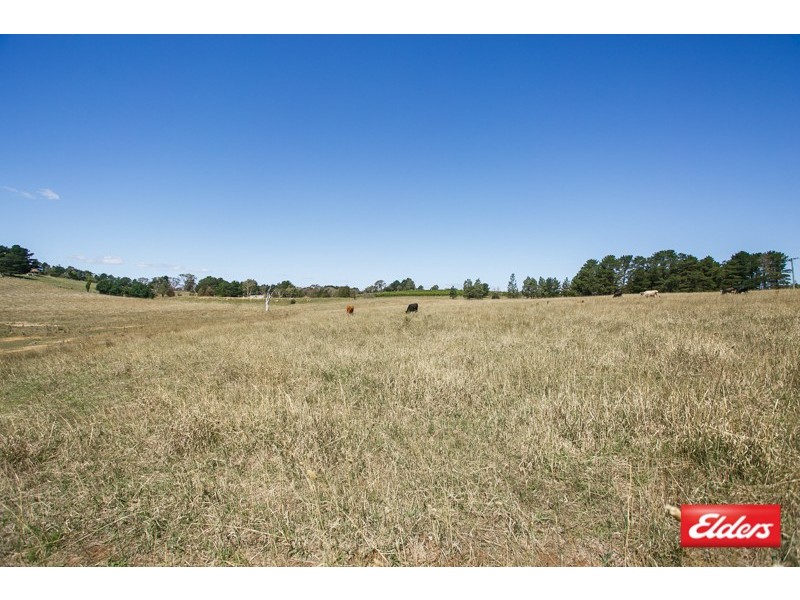 206 Gooromon Ponds Road, Wallaroo NSW 2618