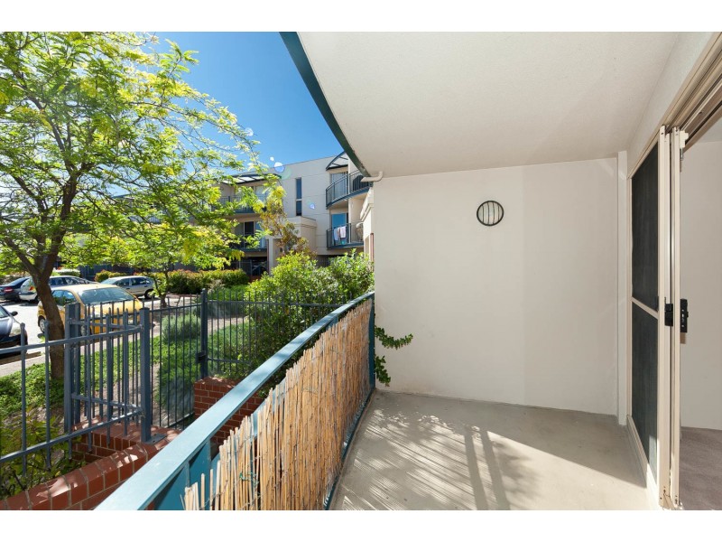 31/2 Ranken Place, Belconnen ACT 2617