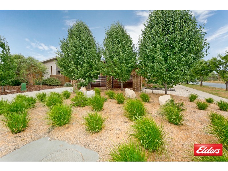 62 Patrick White Circuit, Franklin ACT 2913