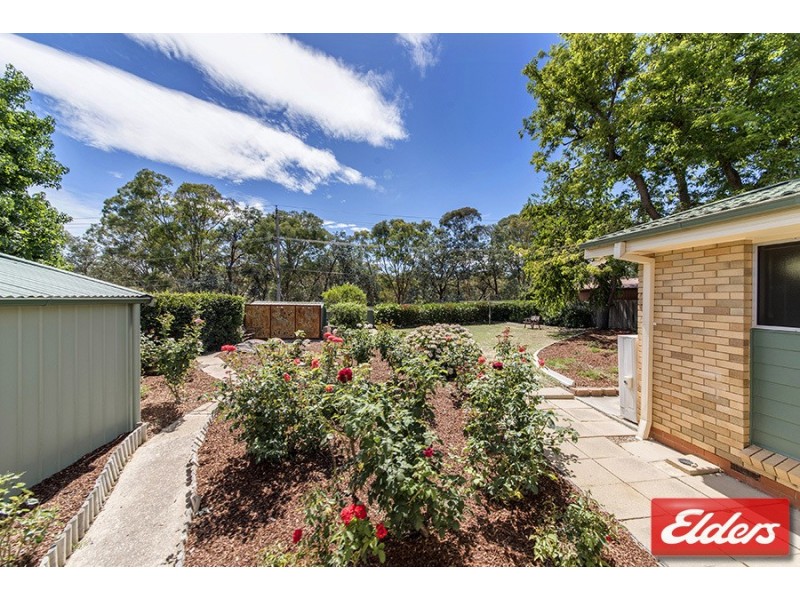 31 Mackellar Crescent, Cook ACT 2614