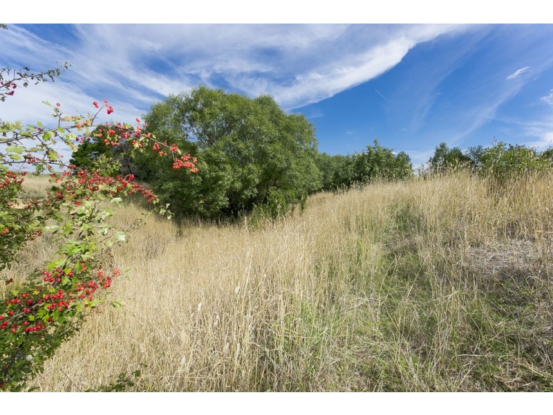 3 Oat Place, Murrumbateman NSW 2582