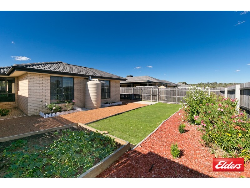19 Rag Holmes Street, Macgregor ACT 2615