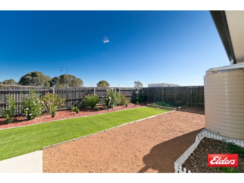 19 Rag Holmes Street, Macgregor ACT 2615