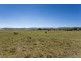 495 Plains Road, Hoskinstown NSW 2621