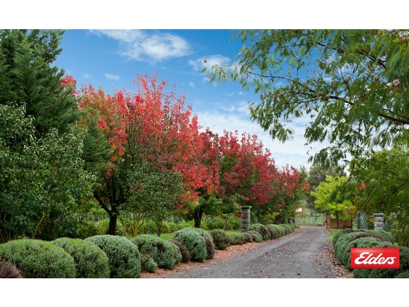 10 Merryville Drive, Murrumbateman NSW 2582