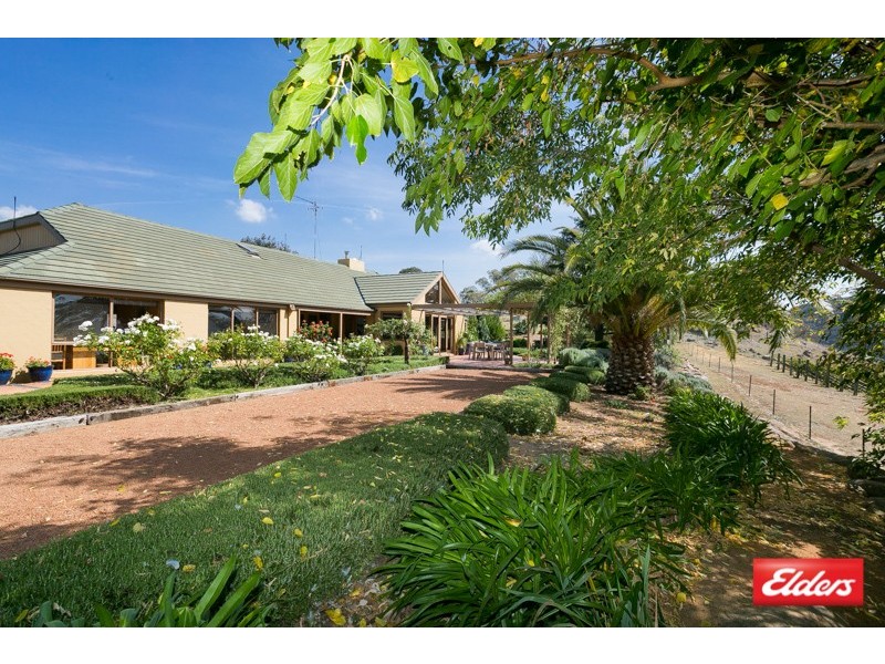 113 McCarthy Road, Wallaroo NSW 2618