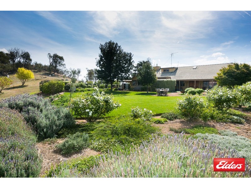 113 McCarthy Road, Wallaroo NSW 2618