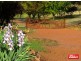113 McCarthy Road, Wallaroo NSW 2618