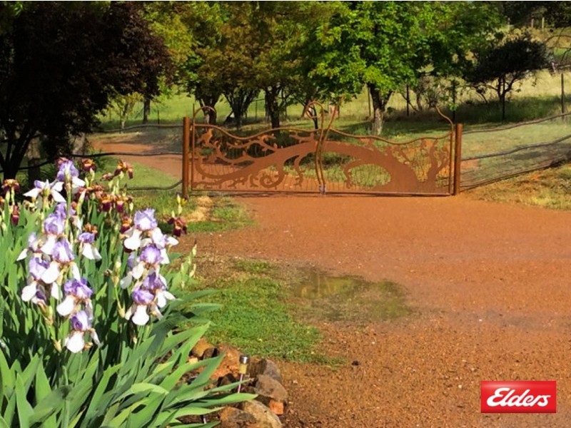 113 McCarthy Road, Wallaroo NSW 2618