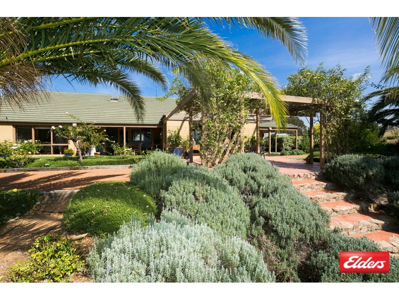 113 McCarthy Road, Wallaroo NSW 2618
