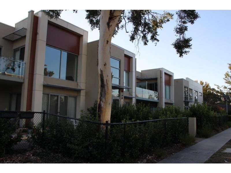 14/27 Berrigan Street, O’connor ACT 2602