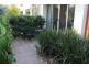 14/27 Berrigan Street, O’connor ACT 2602