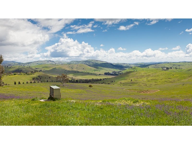 968 Wallaroo Road, Wallaroo NSW 2618