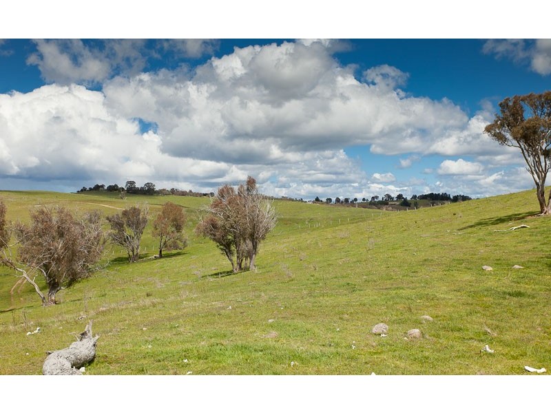 968 Wallaroo Road, Wallaroo NSW 2618