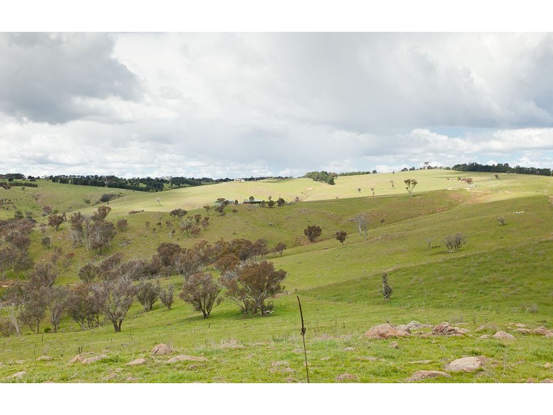 968 Wallaroo Road, Wallaroo NSW 2618