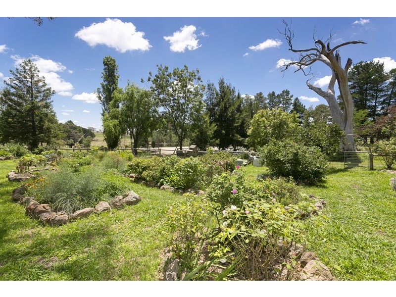 248 Gooromon Ponds Road, Wallaroo NSW 2618