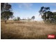 55 Wybalena Grove, Cook ACT 2614