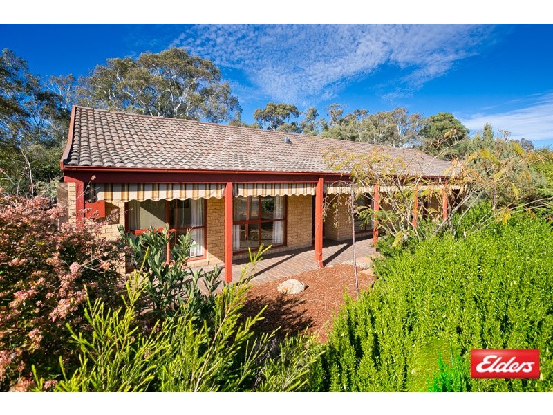 8 Downing Place, Cook ACT 2614