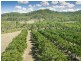 776 SANDY CREEK ROAD, Grantham QLD 4347
