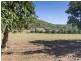 776 SANDY CREEK ROAD, Grantham QLD 4347