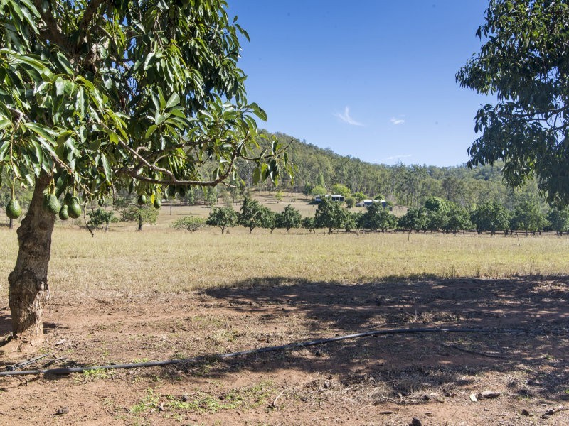776 SANDY CREEK ROAD, Grantham QLD 4347
