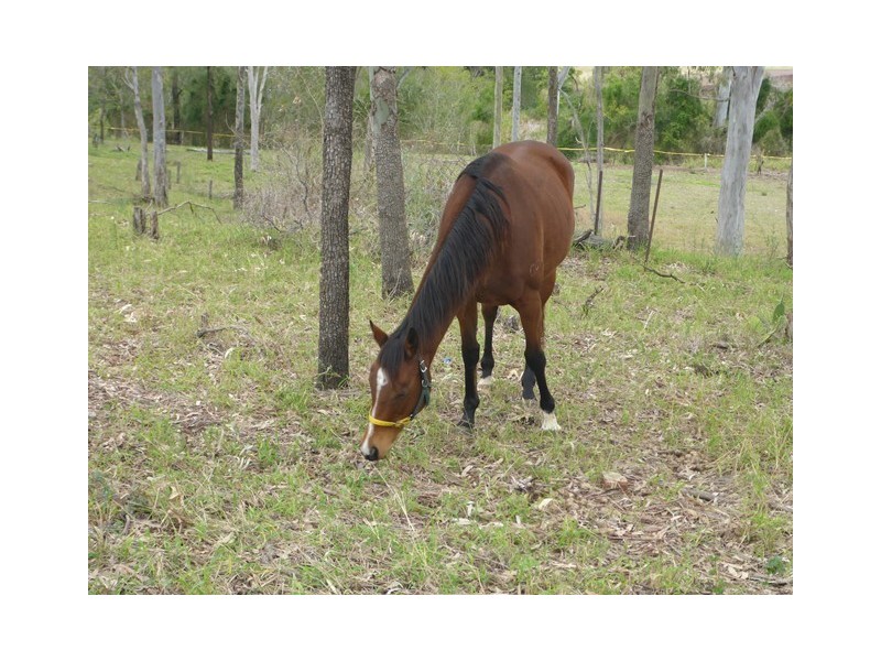 1- Lot 21 COCHRANE STREET, Gatton QLD 4343