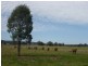 221 FLAGSTONE CREEK ROAD, Carpendale QLD 4344