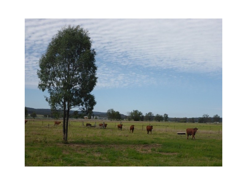 221 FLAGSTONE CREEK ROAD, Carpendale QLD 4344