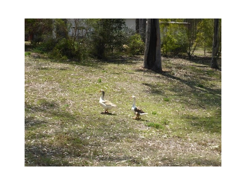 41 Risson Road, Grantham QLD 4347