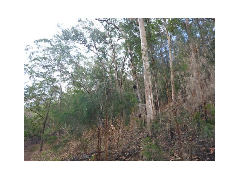 Lot 223 Cole Gully Rd, Lefthand Branch QLD 4343