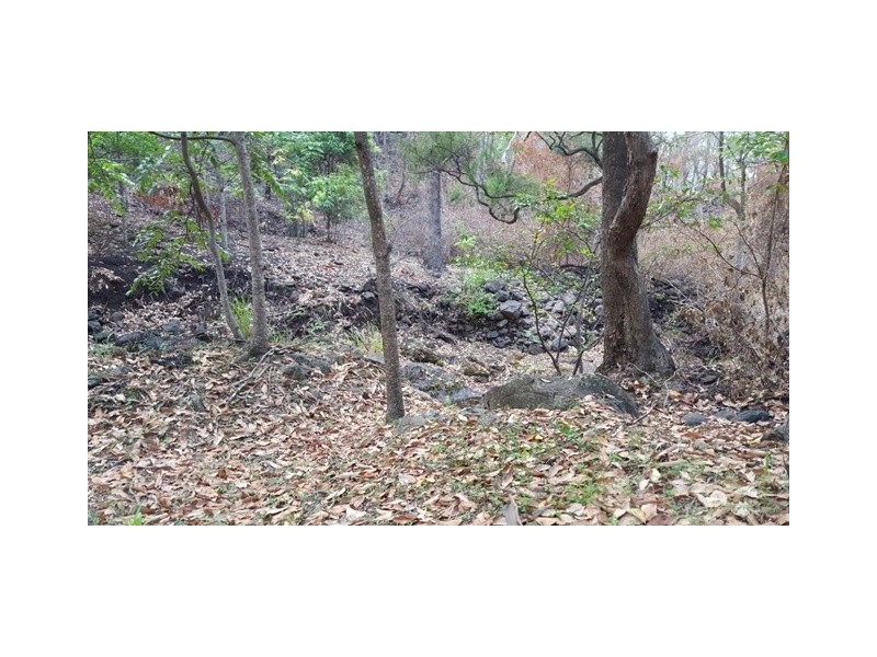 Lot 223 Cole Gully Rd, Lefthand Branch QLD 4343