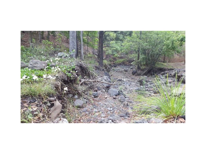 Lot 223 Cole Gully Rd, Lefthand Branch QLD 4343