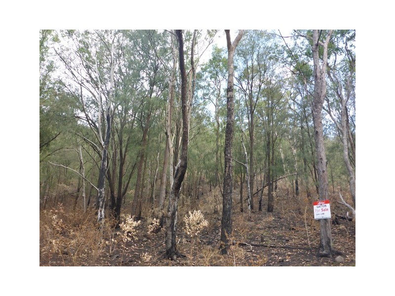 Lot 223 Cole Gully Rd, Lefthand Branch QLD 4343