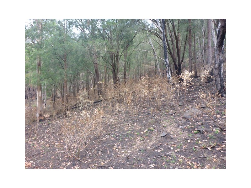 Lot 223 Cole Gully Rd, Lefthand Branch QLD 4343